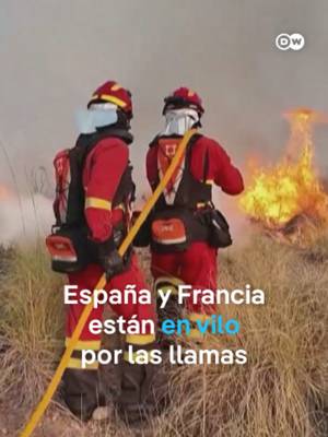 DW Español