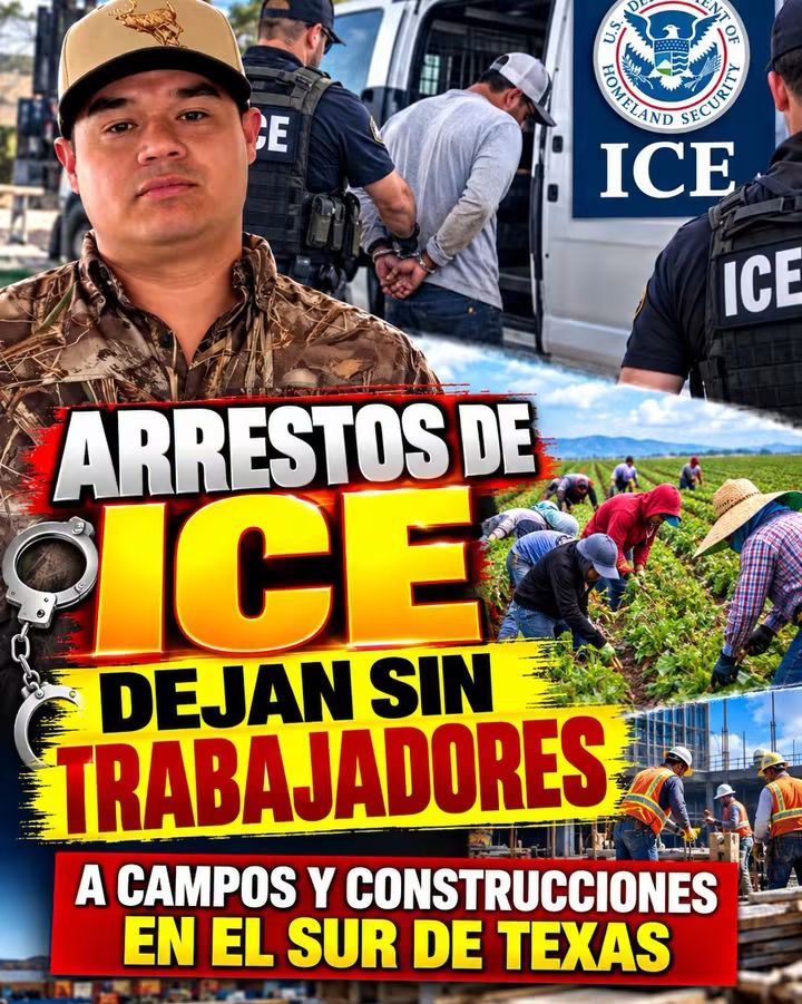 Media Noticia