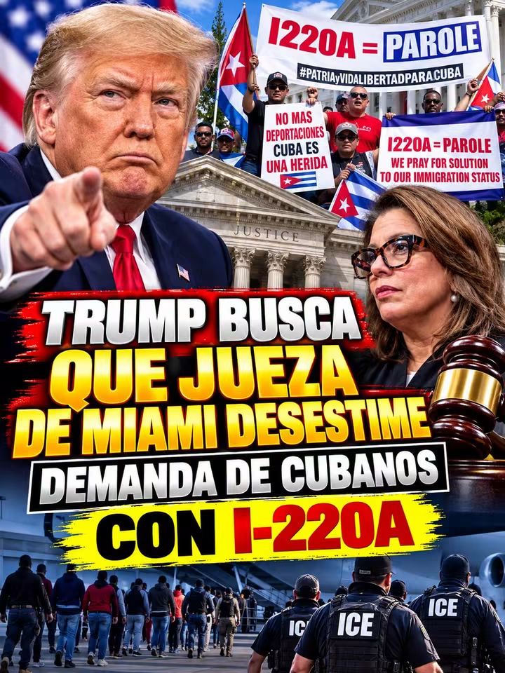 Media Noticia
